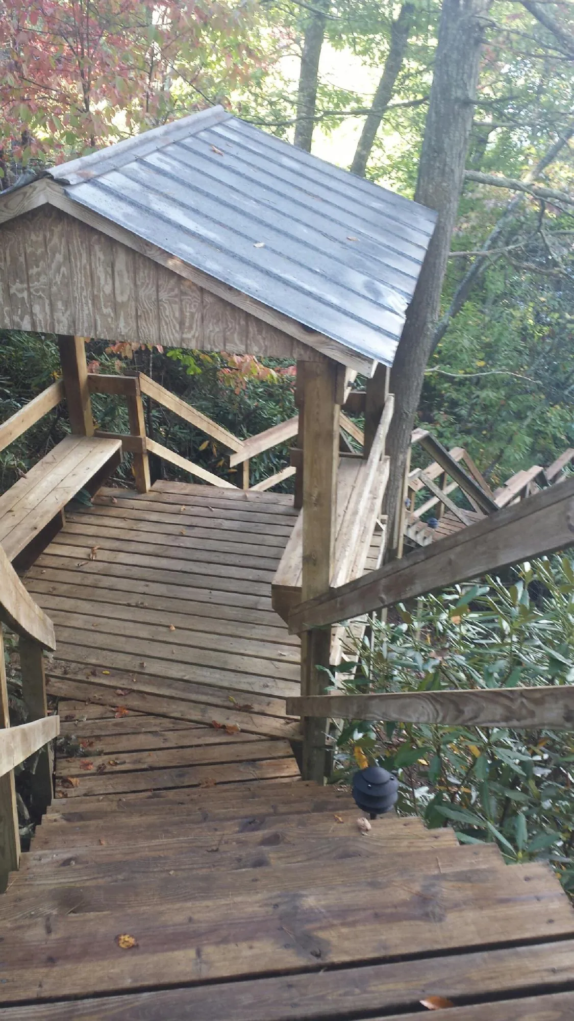Metal roofed shelter over wooden steps on a wooded walkway — Skylight Repair & Installation work by our crew in Temperance